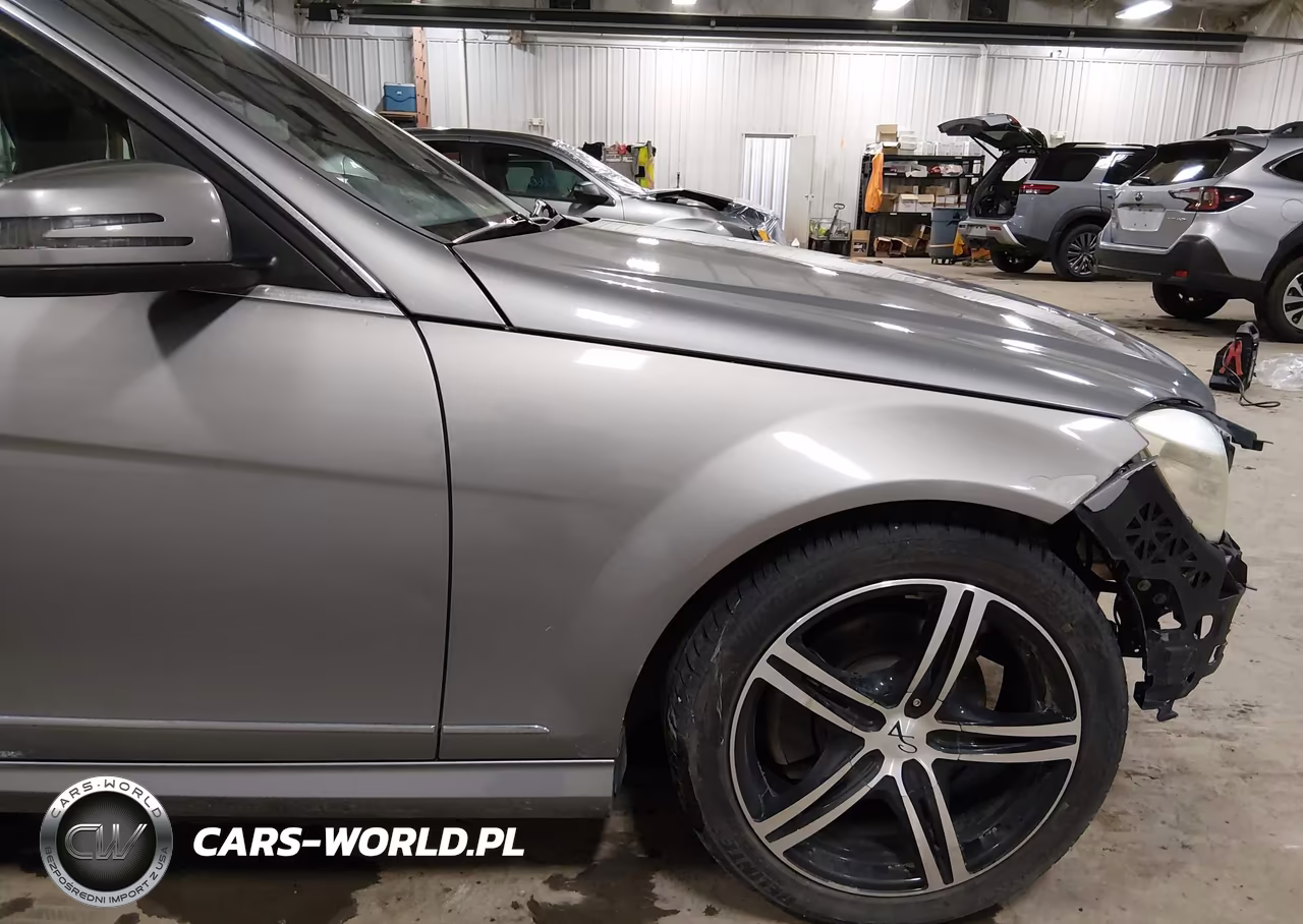 MERCEDES-BENZ C 300 VIN:WDDGF5EB5AR093735 - 19