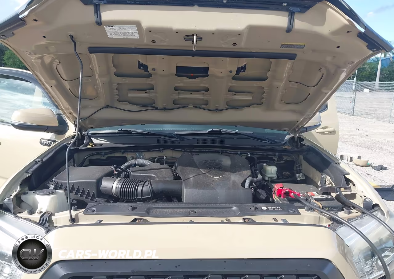 2017 Toyota Tacoma Trd Sport VIN:5TFCZ5AN9HX097728 - 10