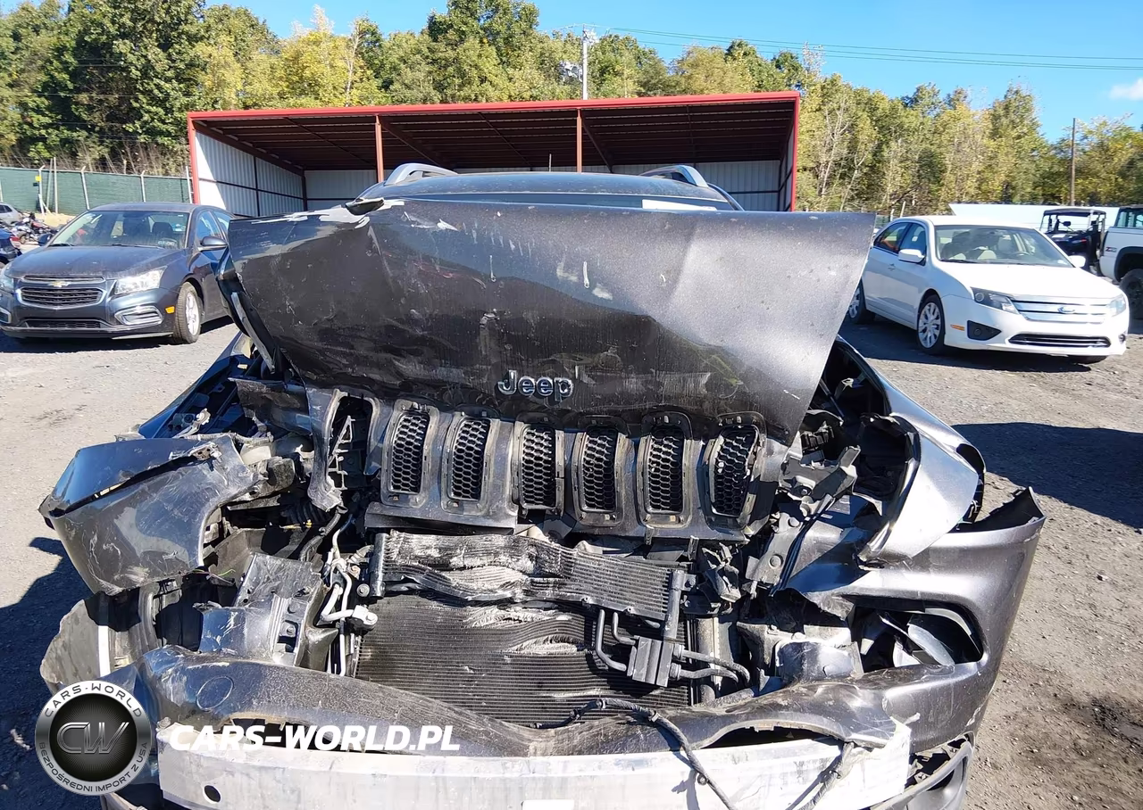 2014 Jeep Cherokee Latitude VIN:1C4PJMCB4EW139097 - 11