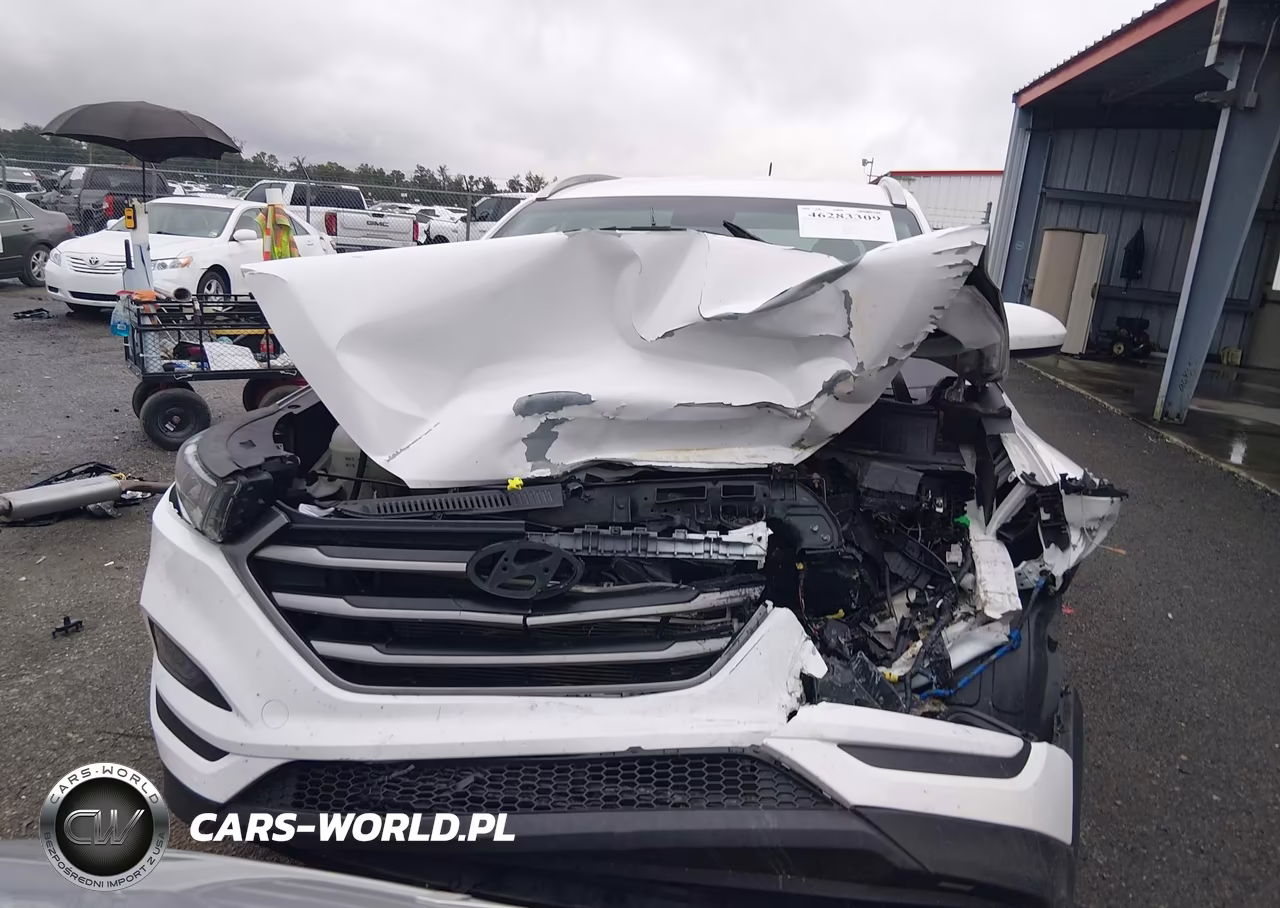 2016 Hyundai Tucson Se VIN:KM8J33A48GU027671 - 12