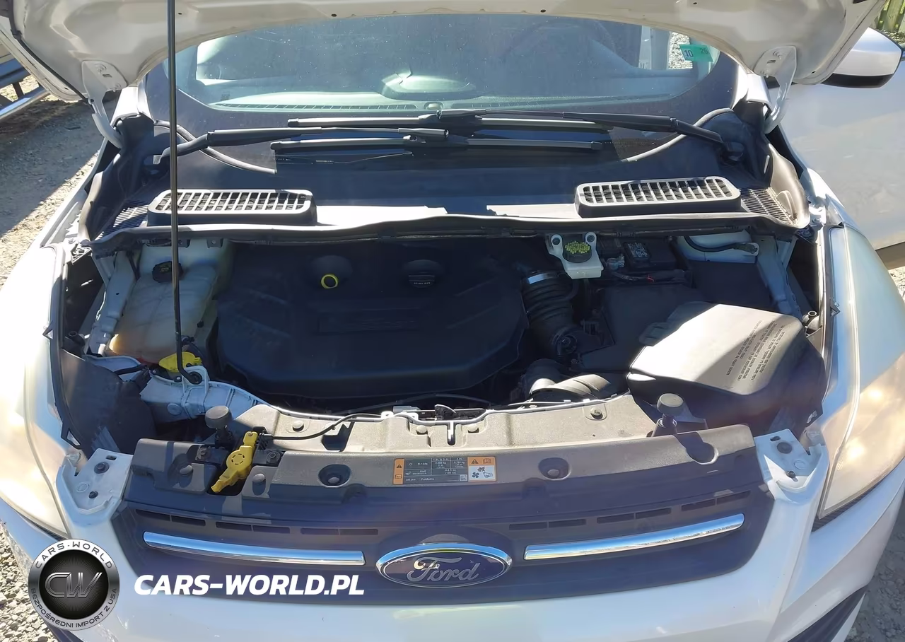 2014 Ford Escape Se VIN:1FMCU9G97EUE18903 - 10