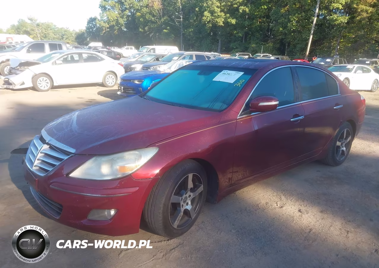 2009 Hyundai Genesis 3.8 VIN:KMHGC46E59U025431 - 2