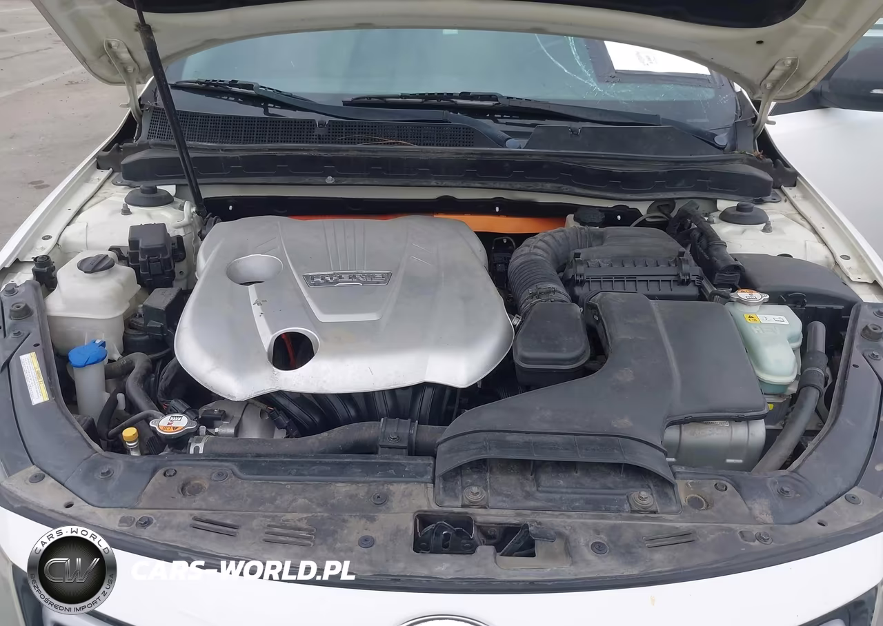 2012 Kia Optima Hybrid Ex VIN:KNAGM4AD4C5026679 - 10