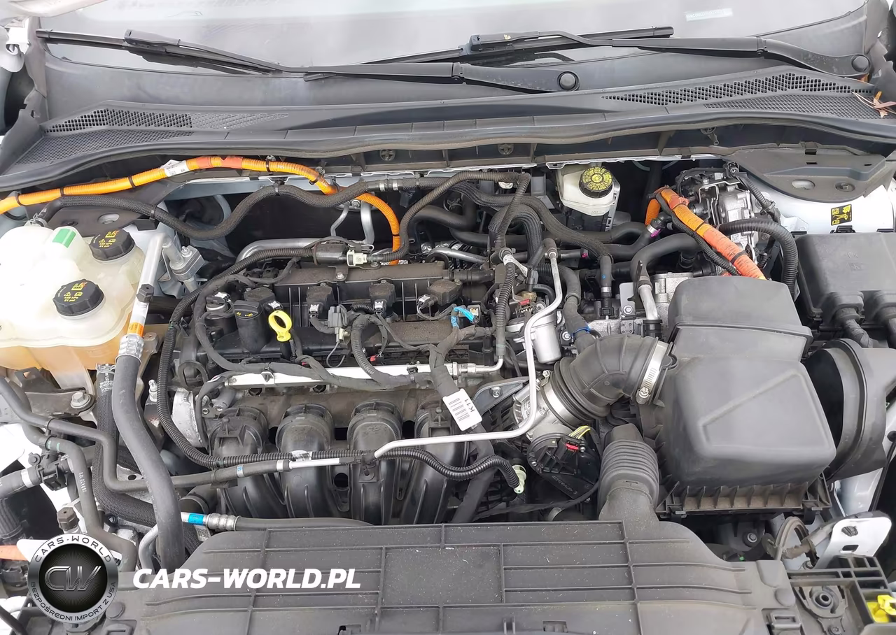 2022 Ford Escape Se Hybrid VIN:1FMCU0BZ9NUA28422 - 10