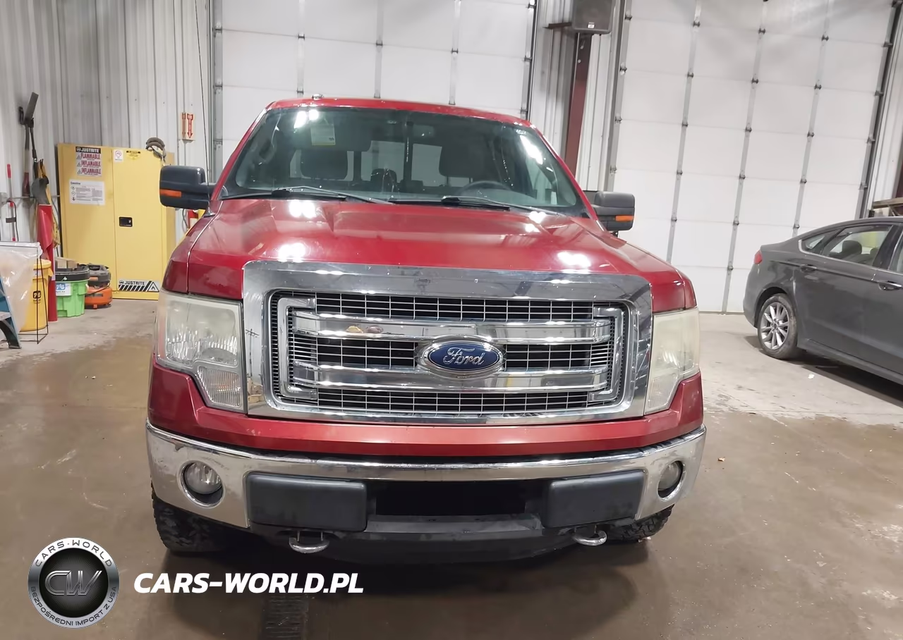 2013 Ford F-150 Xlt VIN:1FTFW1ET1DFA11495 - 12