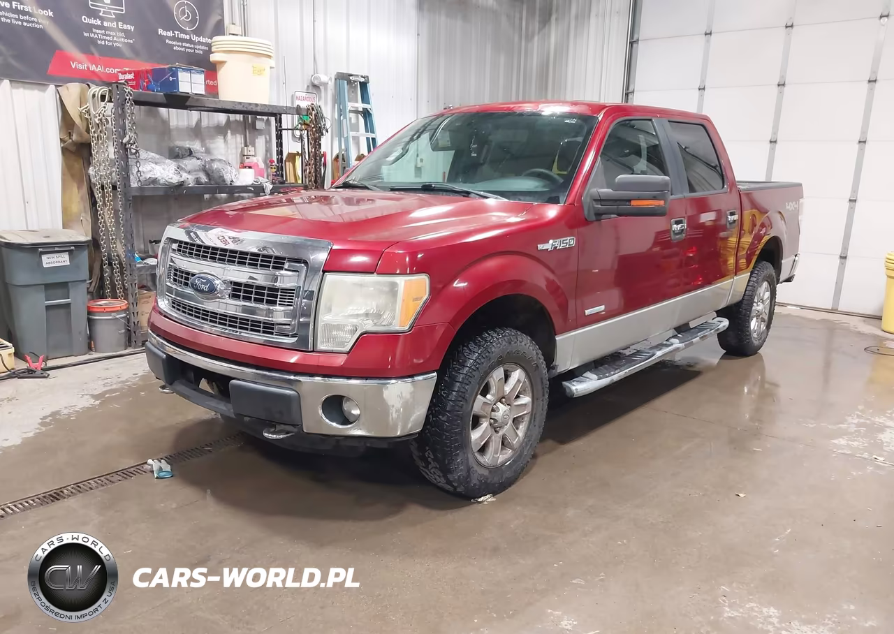 2013 Ford F-150 Xlt VIN:1FTFW1ET1DFA11495 - 2