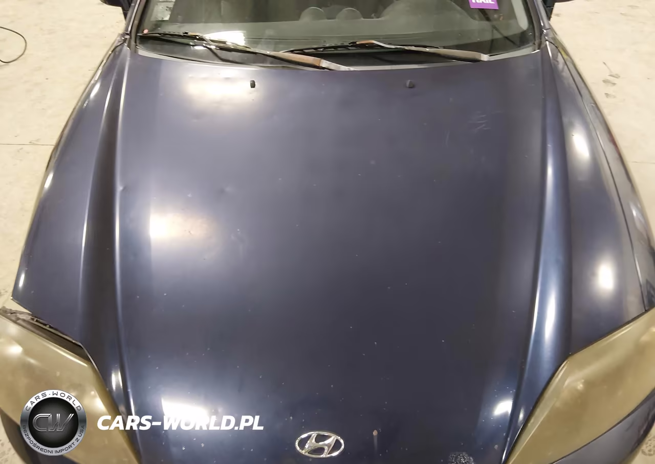 2005 Hyundai Tiburon Gs VIN:KMHHM65D95U157253 - 19