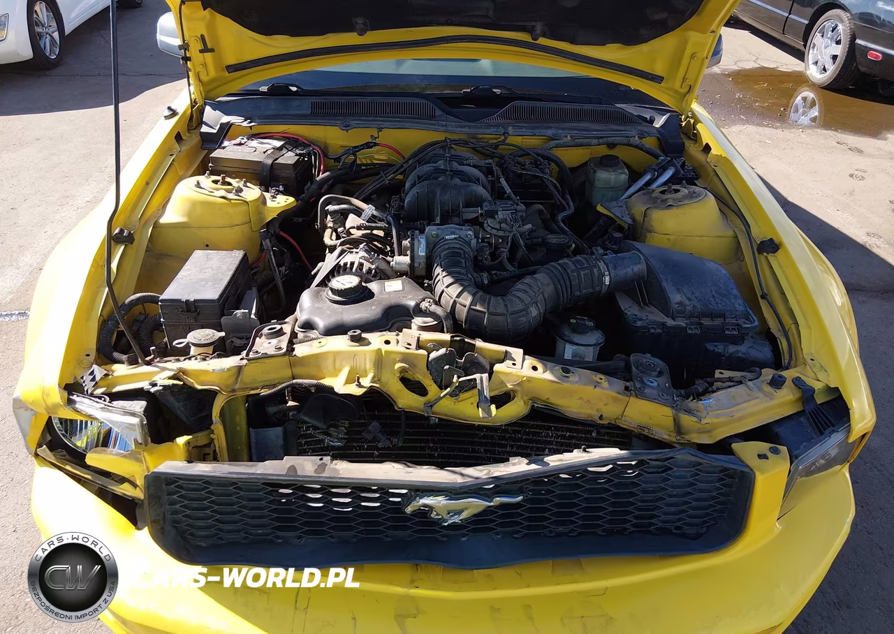 2005 Ford Mustang V6 Deluxe-V6 Premium VIN:1ZVFT80N855220554 - 10