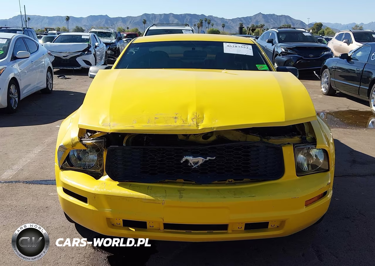 2005 Ford Mustang V6 Deluxe-V6 Premium VIN:1ZVFT80N855220554 - 12