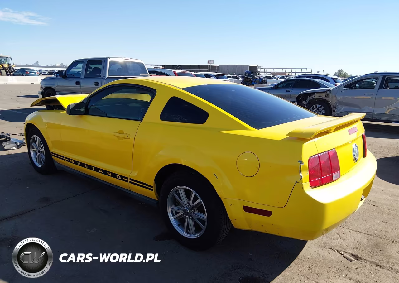 2005 Ford Mustang V6 Deluxe-V6 Premium VIN:1ZVFT80N855220554 - 3