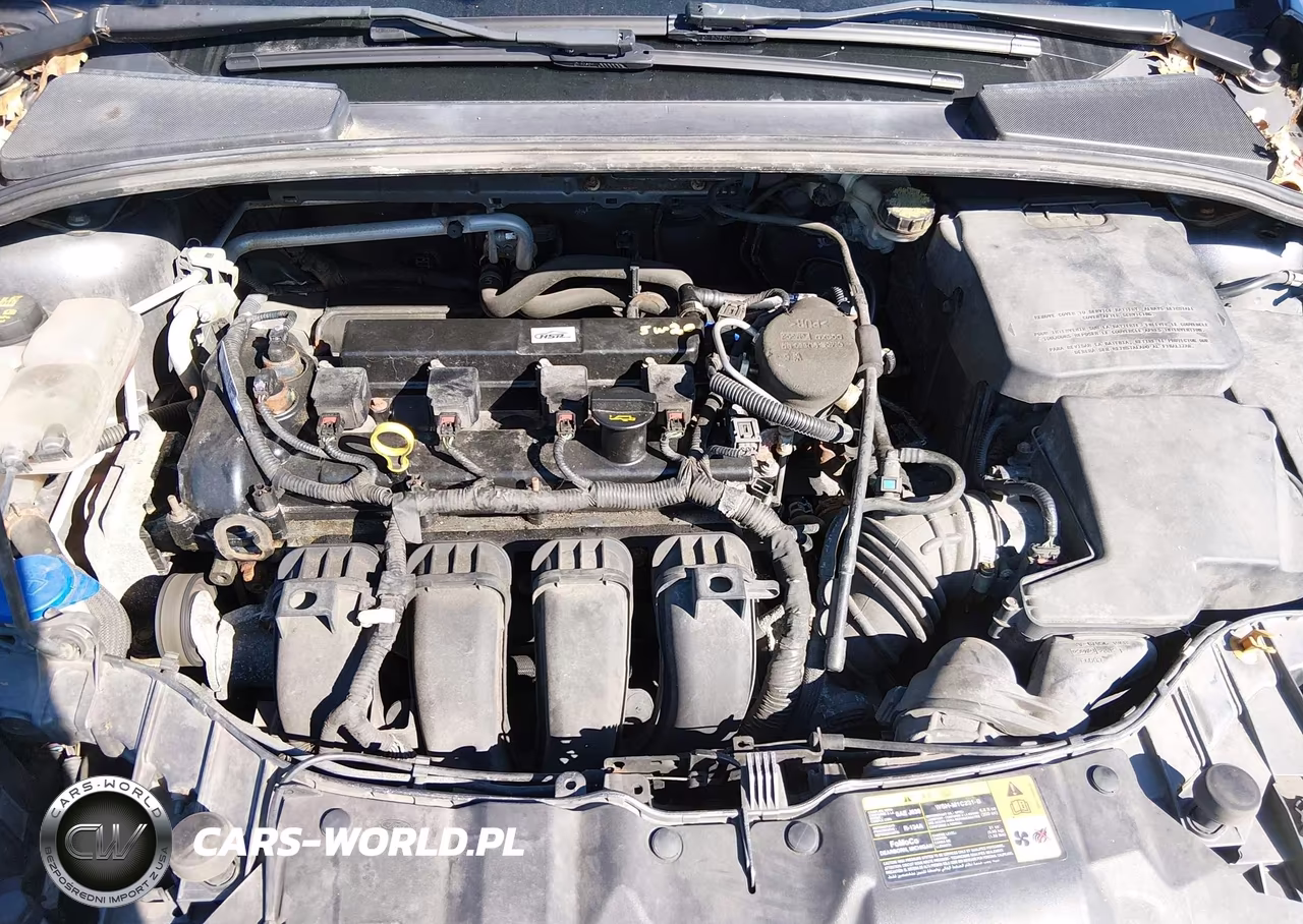 2014 Ford Focus Se VIN:1FADP3F25EL125983 - 10