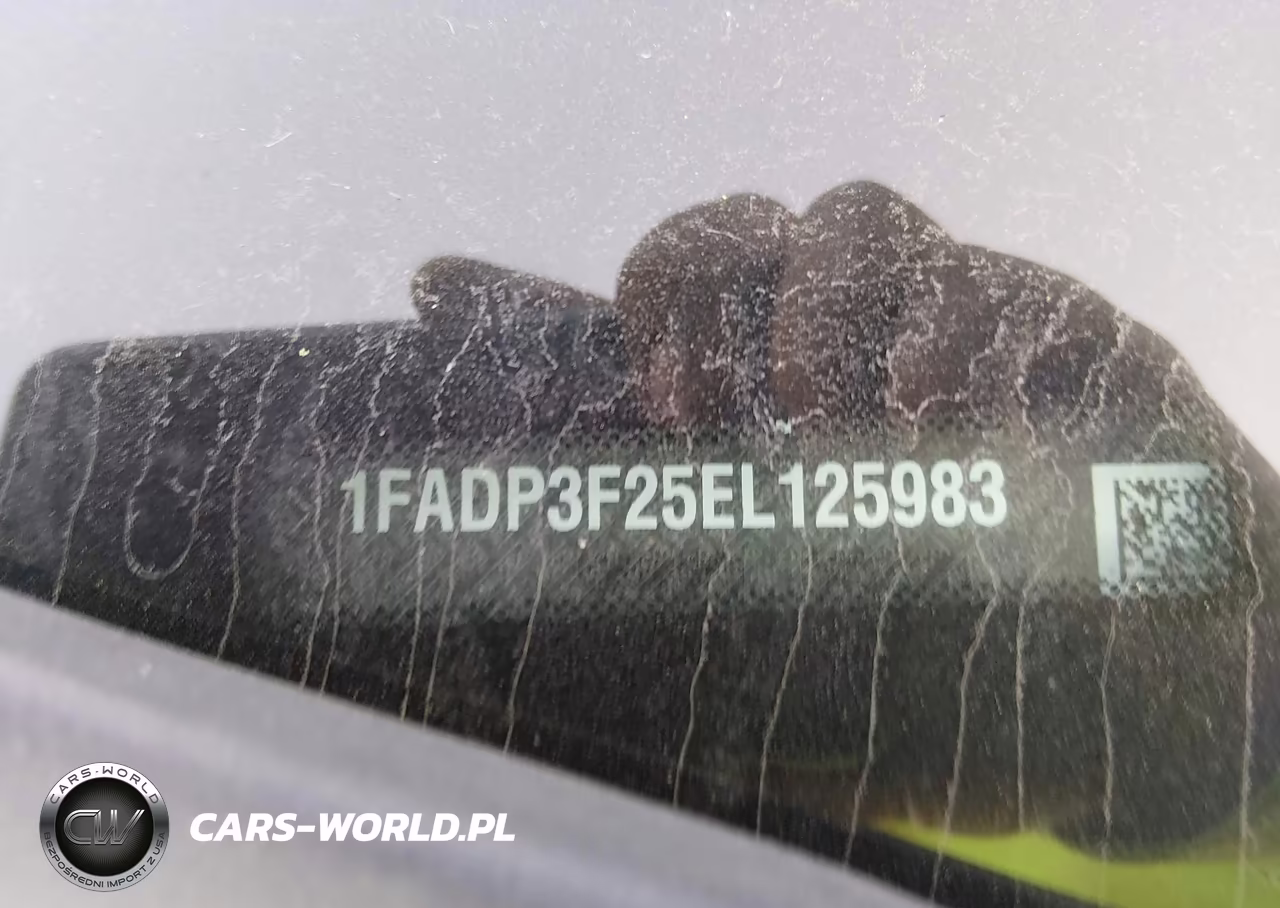 2014 Ford Focus Se VIN:1FADP3F25EL125983 - 9