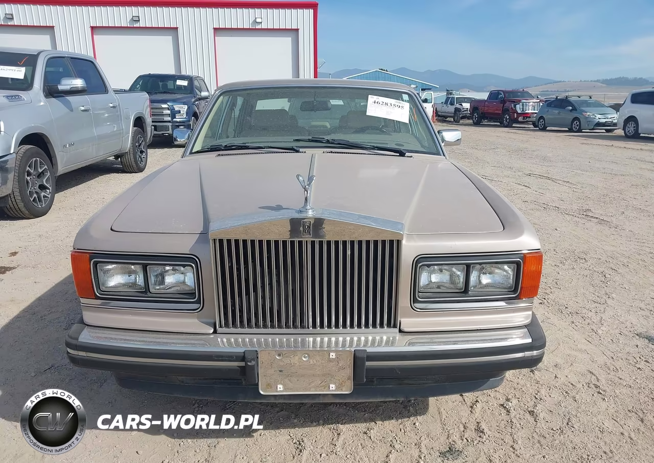 1991 Rolls-Royce Silver Spur VIN:SCAZN02D3MCX35768 - 12
