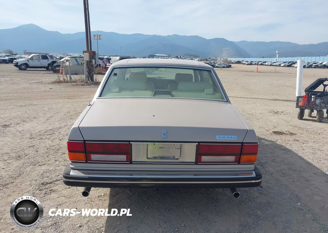 1991 Rolls-Royce Silver Spur VIN:SCAZN02D3MCX35768 - 16