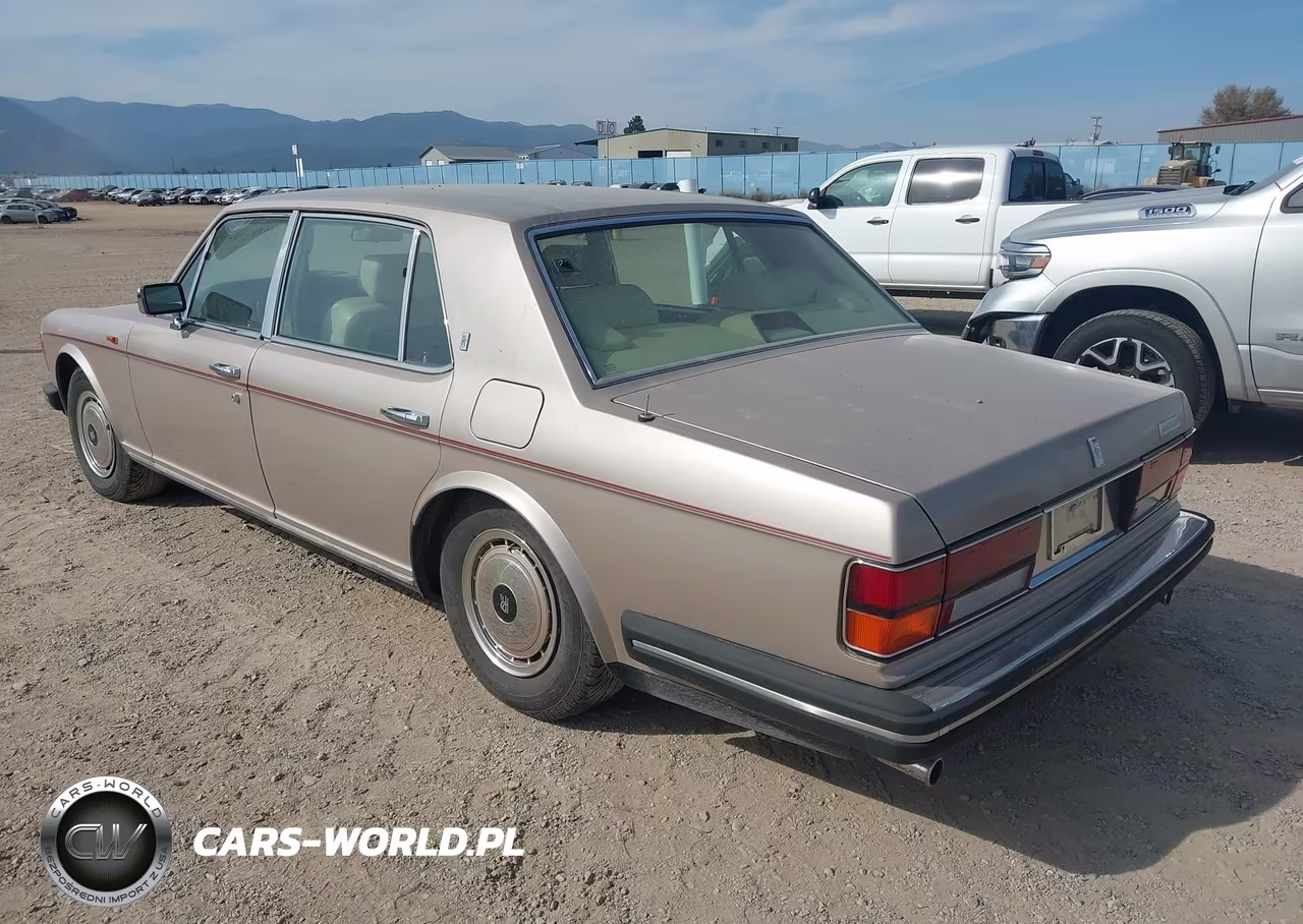 1991 Rolls-Royce Silver Spur VIN:SCAZN02D3MCX35768 - 3
