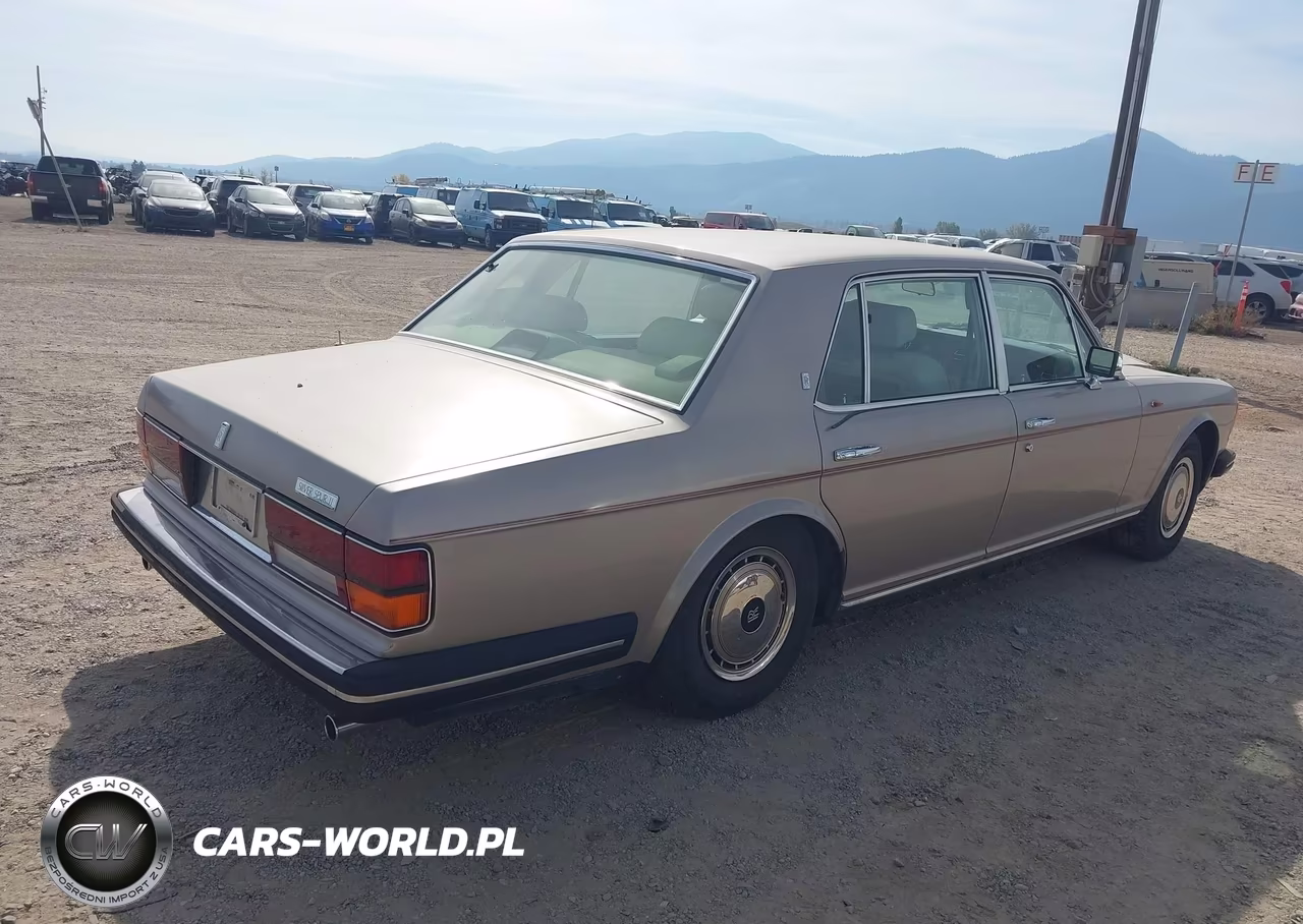 1991 Rolls-Royce Silver Spur VIN:SCAZN02D3MCX35768 - 4