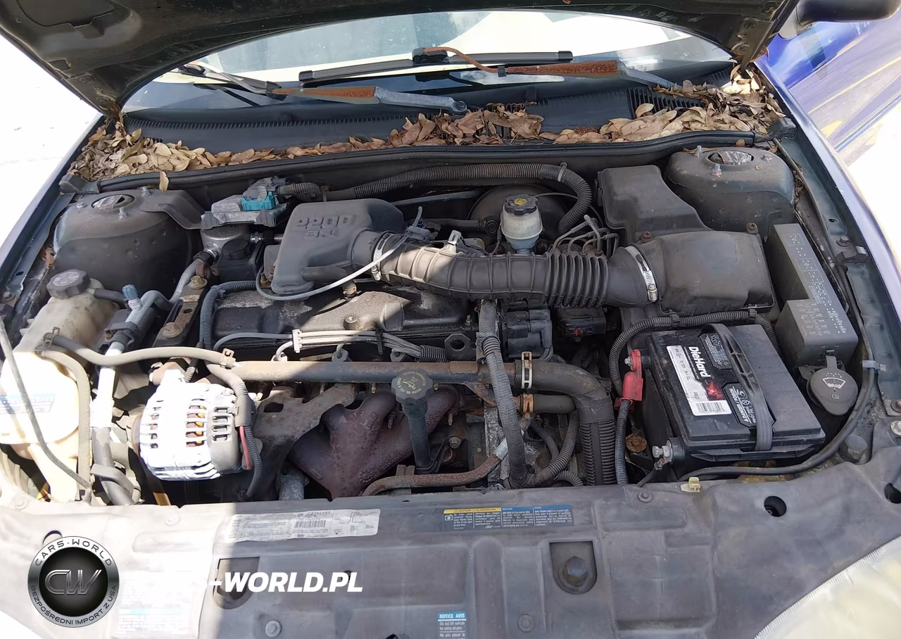 2002 Chevrolet Cavalier VIN:1G1JC524927424448 - 10