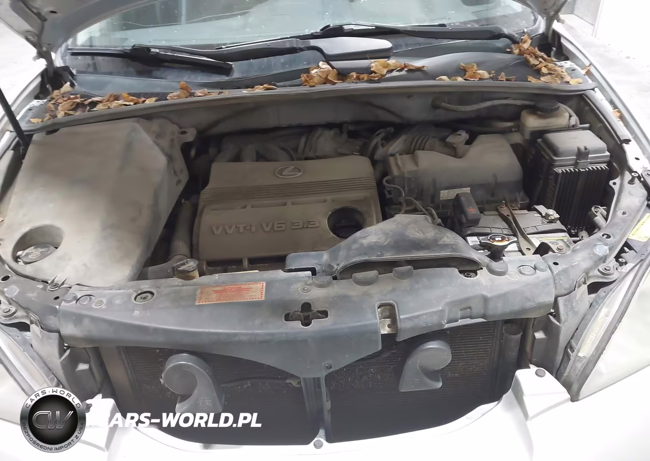 2006 Lexus Rx 330 VIN:2T2HA31U16C107717 - 10
