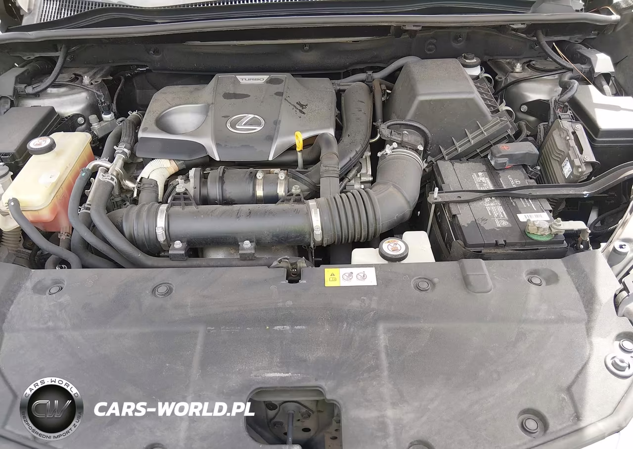 2018 Lexus Nx 300 VIN:JTJYARBZ9J2099551 - 10