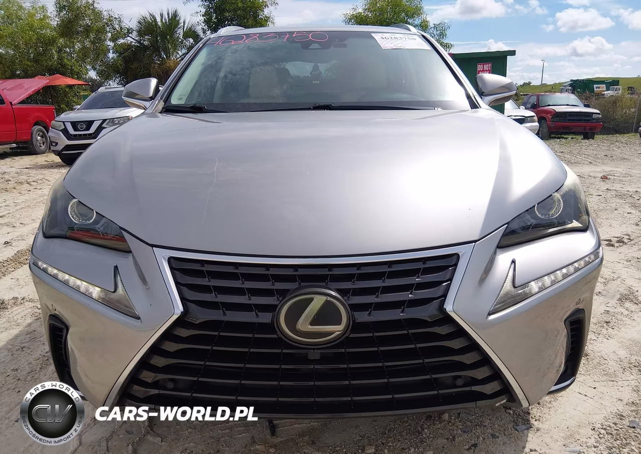 2018 Lexus Nx 300 VIN:JTJYARBZ9J2099551 - 12
