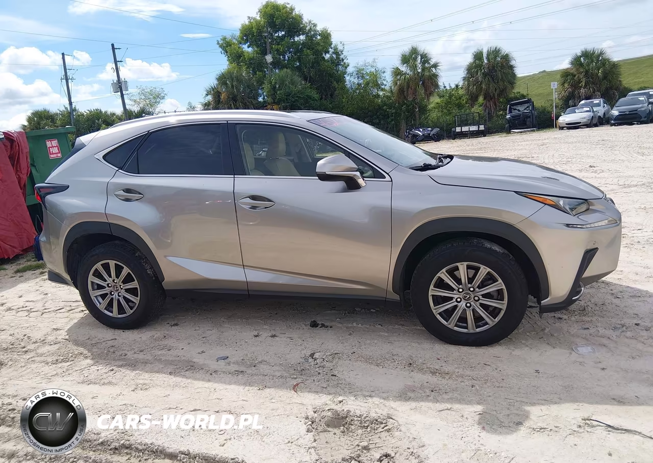 2018 Lexus Nx 300 VIN:JTJYARBZ9J2099551 - 13