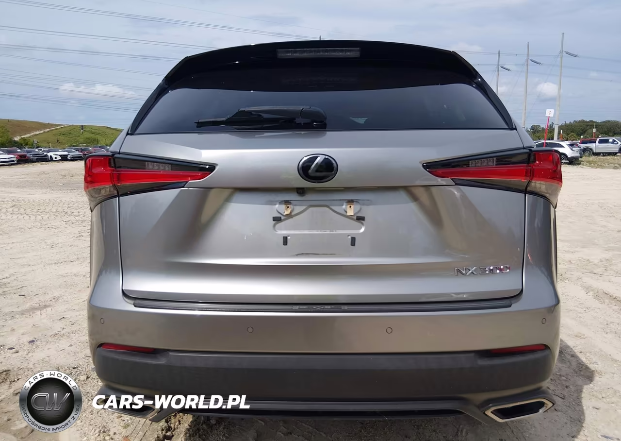 2018 Lexus Nx 300 VIN:JTJYARBZ9J2099551 - 16