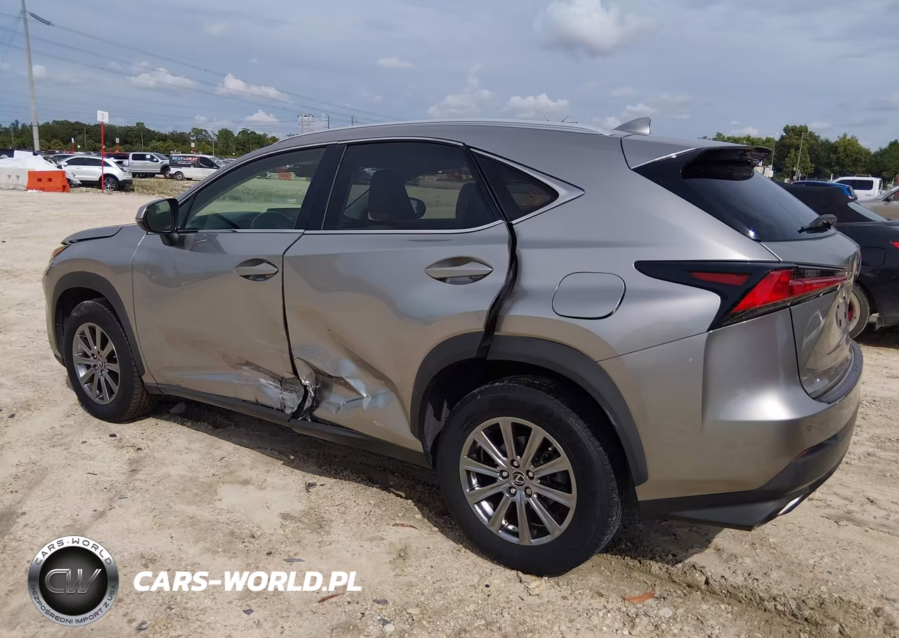 2018 Lexus Nx 300 VIN:JTJYARBZ9J2099551 - 6