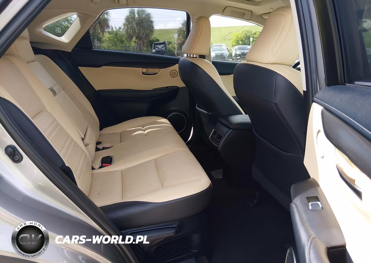 2018 Lexus Nx 300 VIN:JTJYARBZ9J2099551 - 8