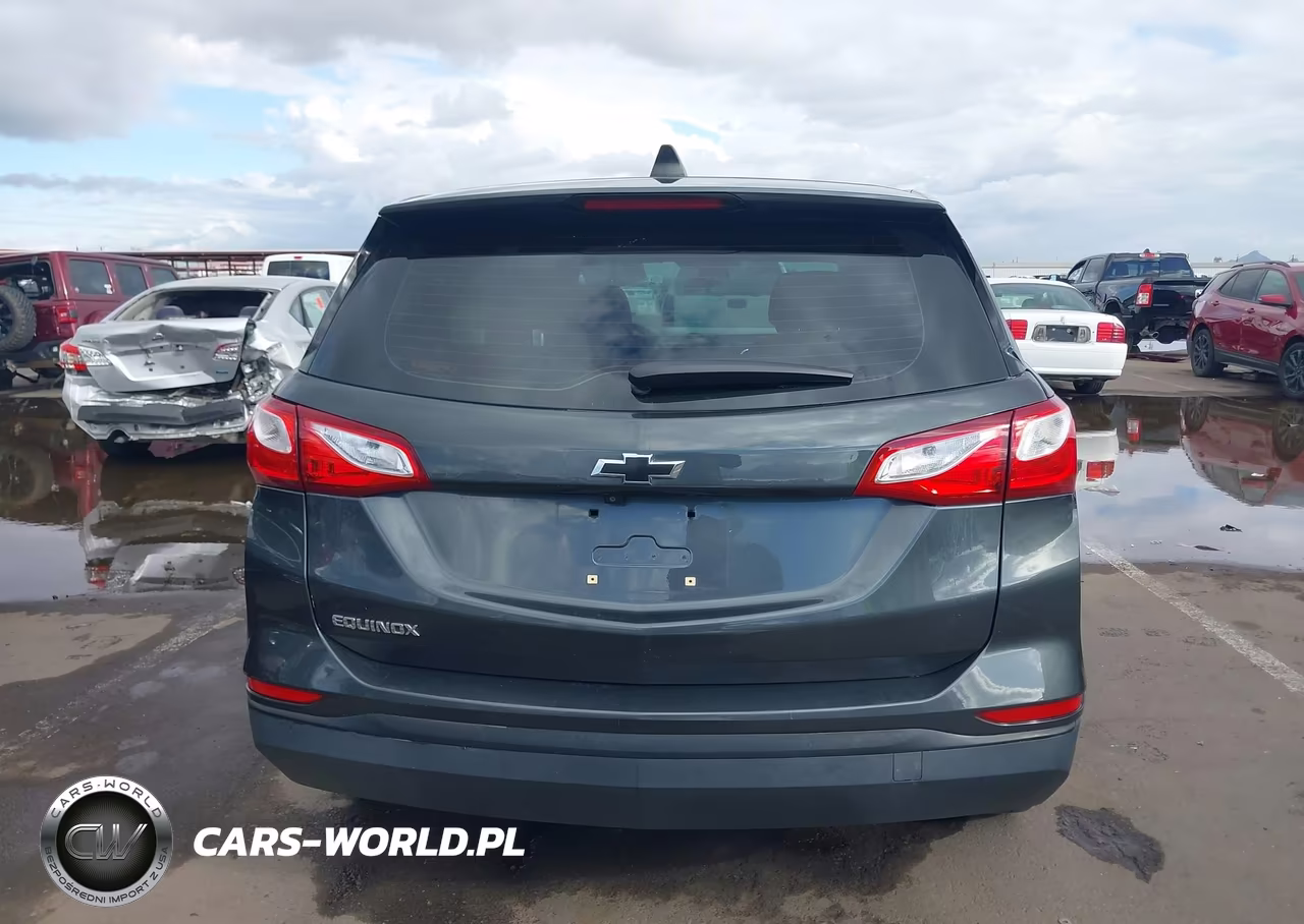 2020 Chevrolet Equinox Fwd Ls VIN:3GNAXHEV3LS516151 - 17