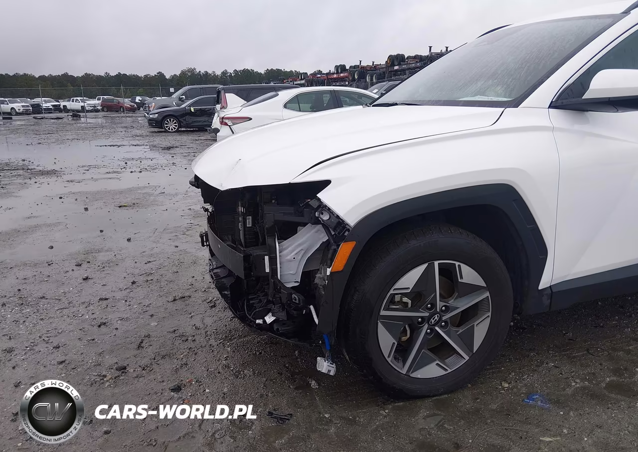 2025 Hyundai Tucson Sel VIN:5NMJBCDE4SH492265 - 20