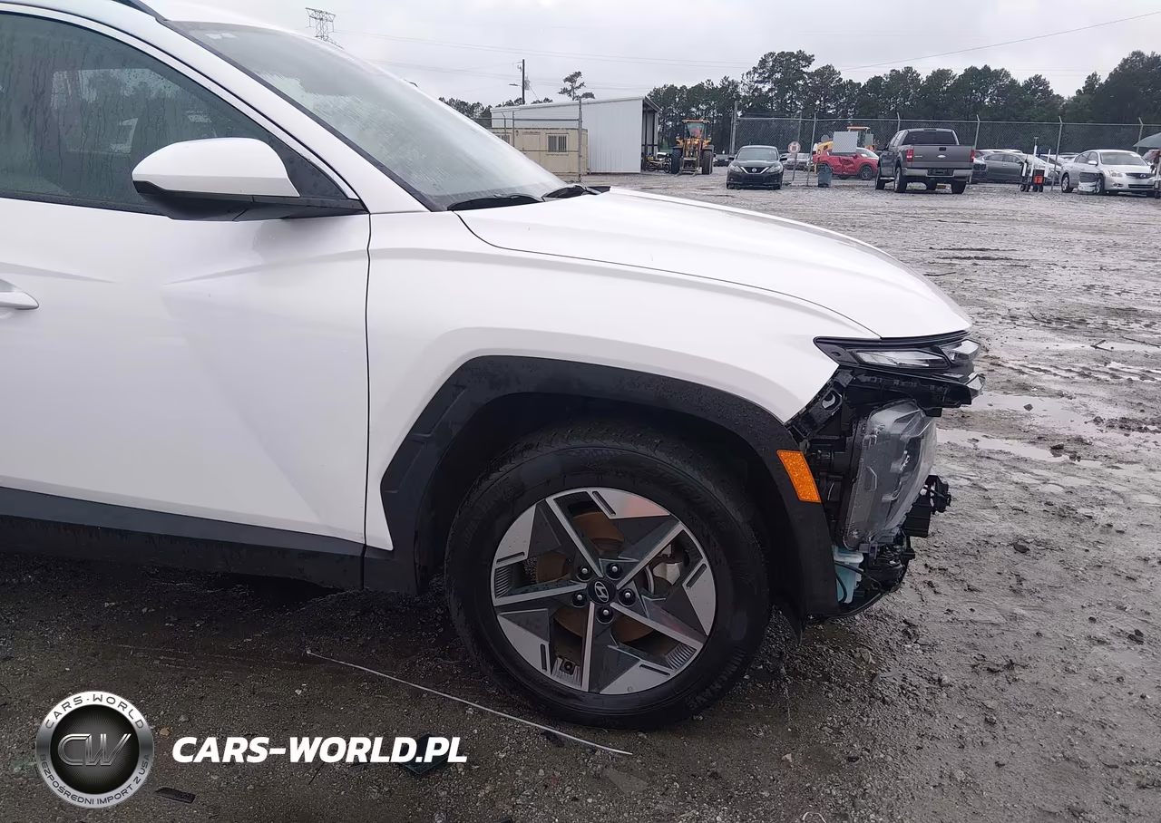 2025 Hyundai Tucson Sel VIN:5NMJBCDE4SH492265 - 22