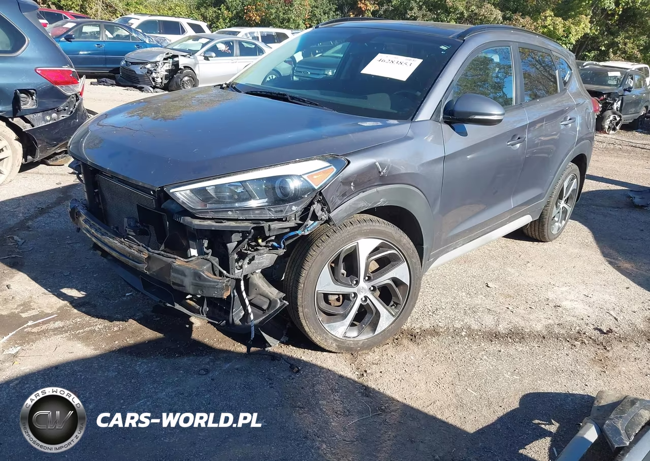 2018 Hyundai Tucson Value VIN:KM8J3CA26JU716890 - 2
