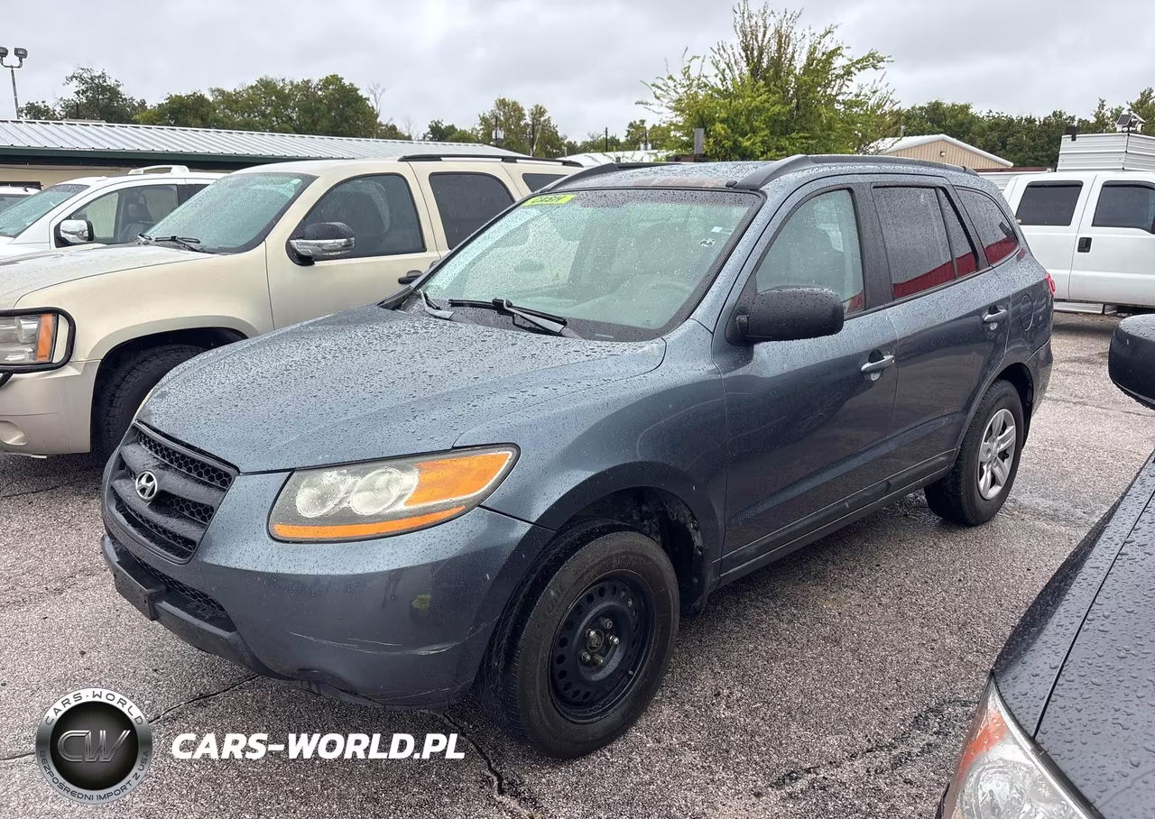 2009 Hyundai Santa Fe VIN:5NMSG13D09H246276 - 2
