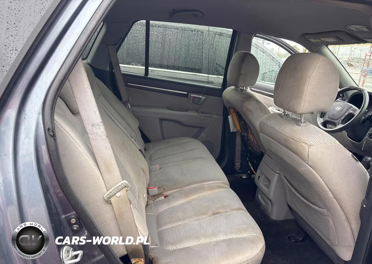 2009 Hyundai Santa Fe VIN:5NMSG13D09H246276 - 8