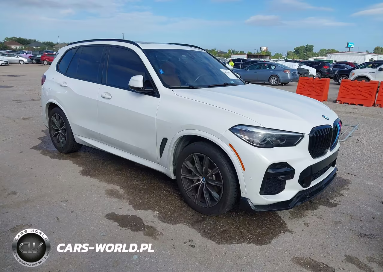 2023 BMW X5 xDrive40I VIN:5UXCR6C02P9P20244 - 1