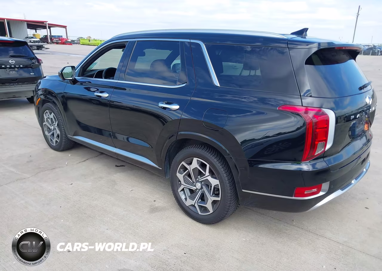 2021 Hyundai Palisade Calligraphy VIN:KM8R7DHE6MU299563 - 3
