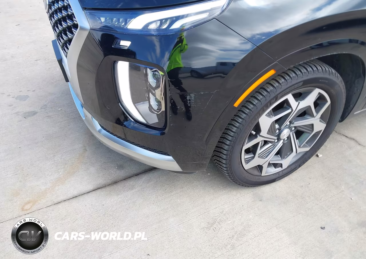 2021 Hyundai Palisade Calligraphy VIN:KM8R7DHE6MU299563 - 6