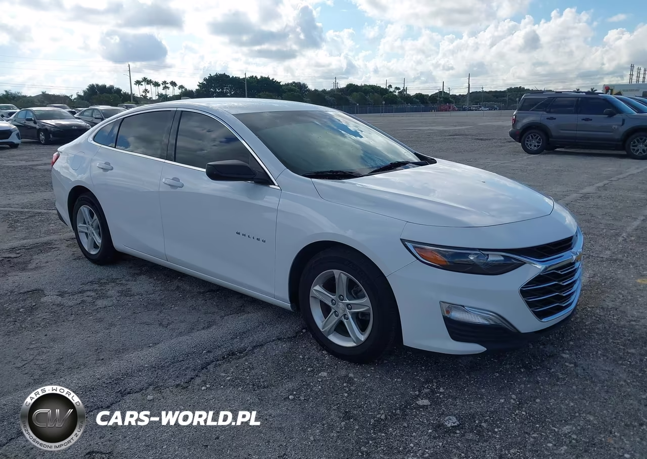 2019 Chevrolet Malibu 1Fl VIN:1G1ZC5ST2KF200728 - 1