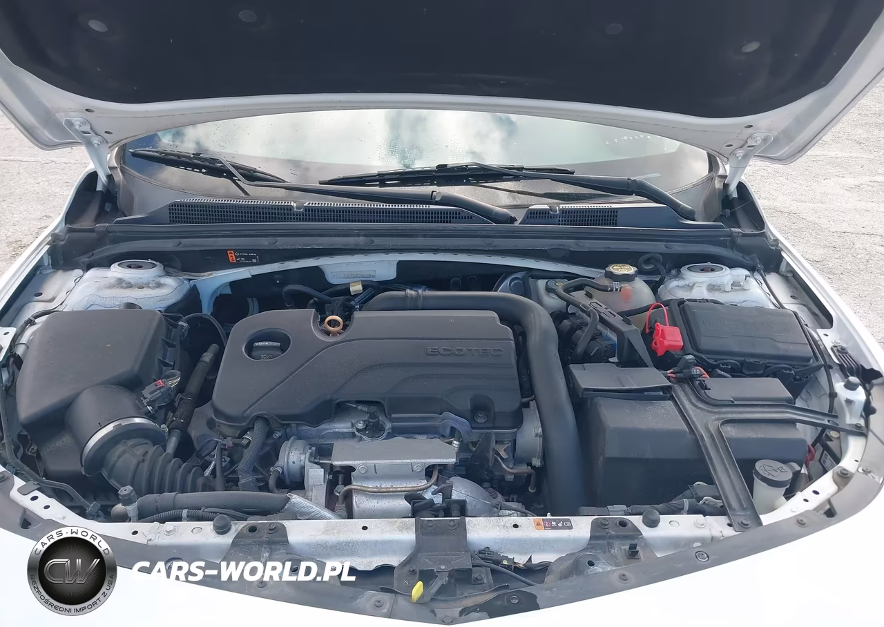 2019 Chevrolet Malibu 1Fl VIN:1G1ZC5ST2KF200728 - 10