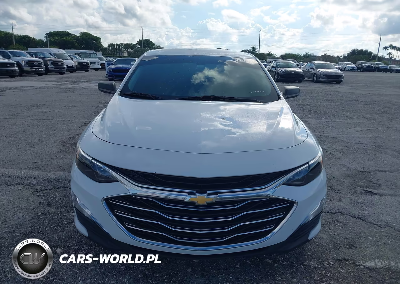 2019 Chevrolet Malibu 1Fl VIN:1G1ZC5ST2KF200728 - 12