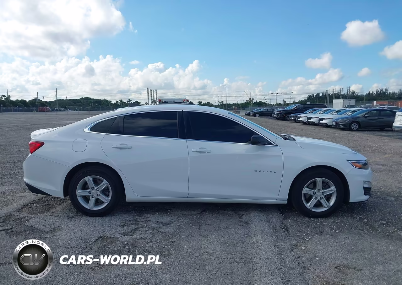 2019 Chevrolet Malibu 1Fl VIN:1G1ZC5ST2KF200728 - 13