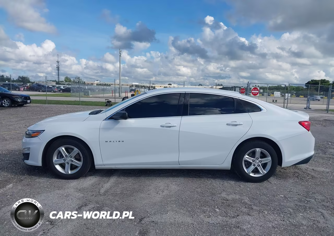 2019 Chevrolet Malibu 1Fl VIN:1G1ZC5ST2KF200728 - 14