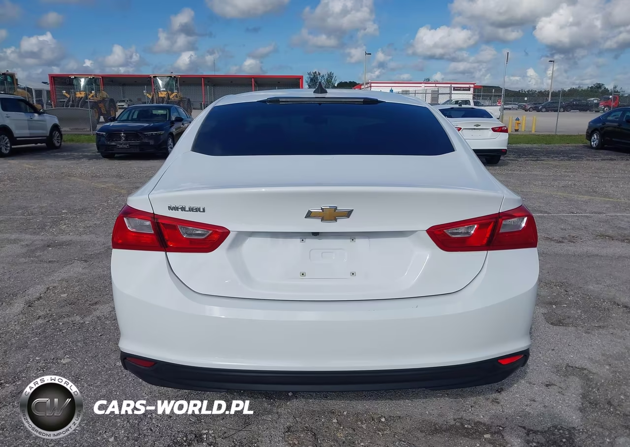 2019 Chevrolet Malibu 1Fl VIN:1G1ZC5ST2KF200728 - 16