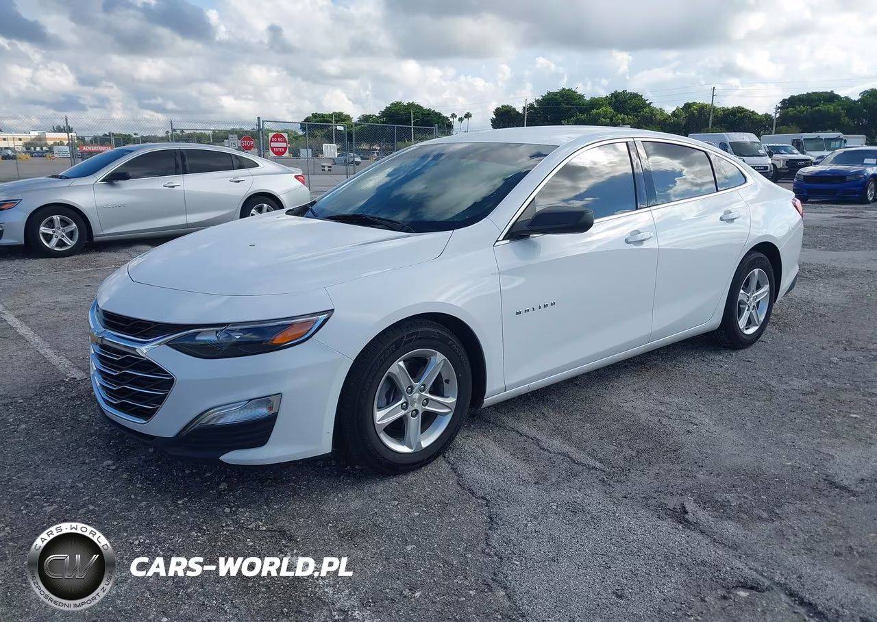 2019 Chevrolet Malibu 1Fl VIN:1G1ZC5ST2KF200728 - 2