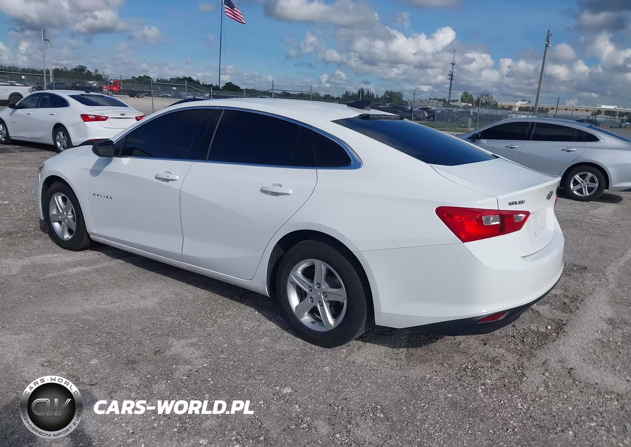 2019 Chevrolet Malibu 1Fl VIN:1G1ZC5ST2KF200728 - 3