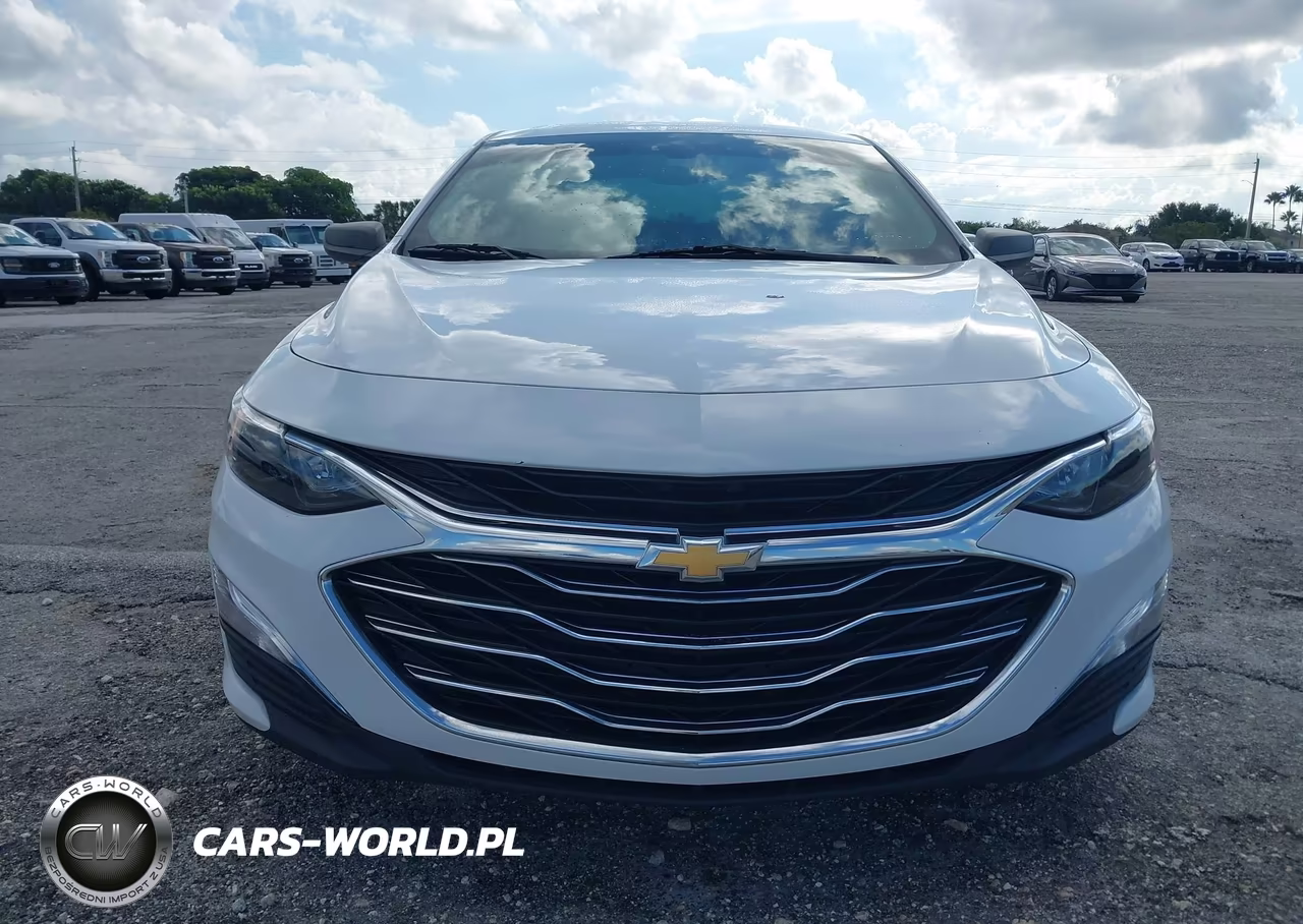 2019 Chevrolet Malibu 1Fl VIN:1G1ZC5ST2KF200728 - 6
