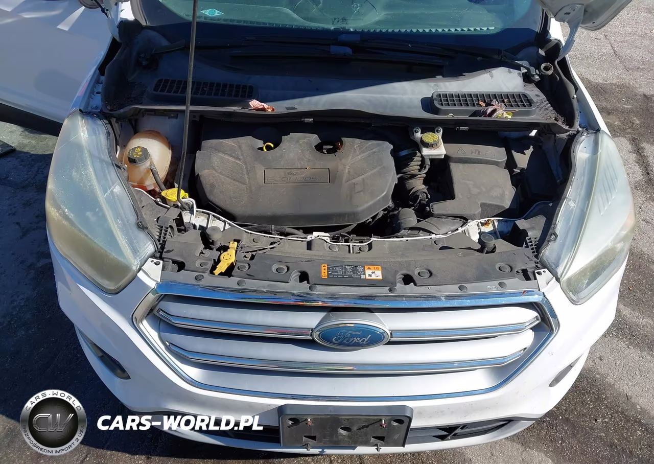 2017 Ford Escape Se VIN:1FMCU9G95HUA76579 - 10