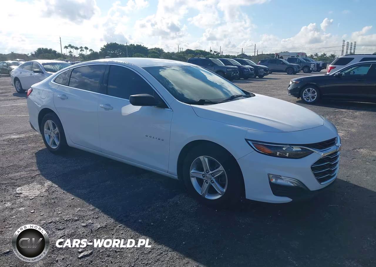2019 Chevrolet Malibu 1Fl VIN:1G1ZC5ST5KF201680 - 1