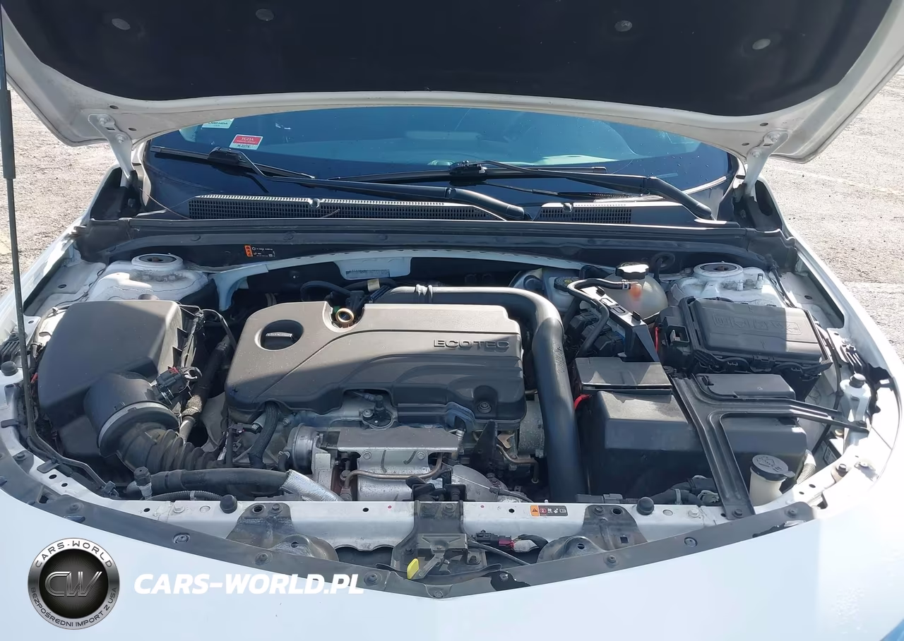 2019 Chevrolet Malibu 1Fl VIN:1G1ZC5ST5KF201680 - 10
