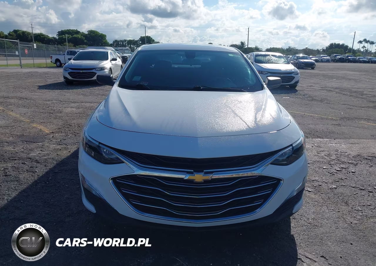 2019 Chevrolet Malibu 1Fl VIN:1G1ZC5ST5KF201680 - 13